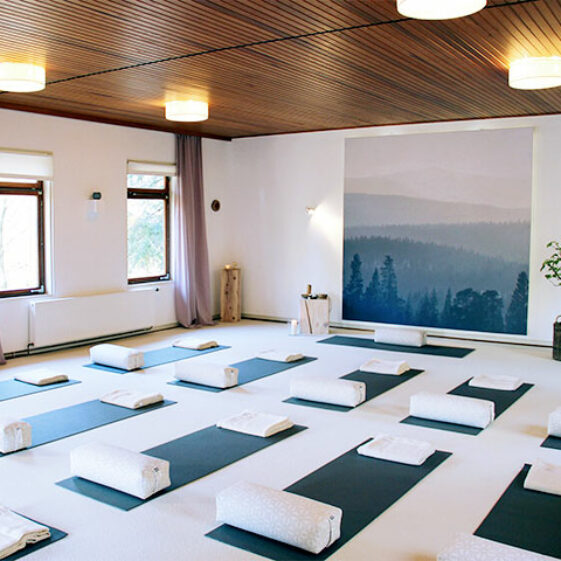Yoga und Krebs in Siegen im Yogahaus am Wald